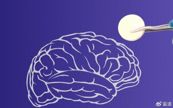 加杠杆的股票平台 长弘生物冲刺好意思股：年耗损229万好意思元