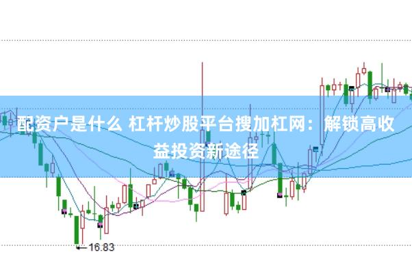 配资户是什么 杠杆炒股平台搜加杠网：解锁高收益投资新途径