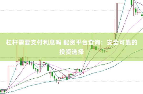 杠杆需要支付利息吗 配资平台查询：安全可靠的投资选择