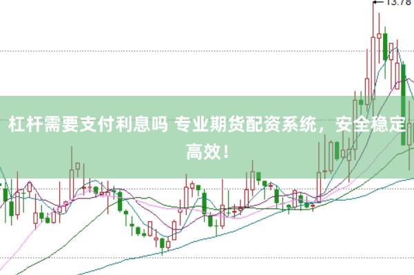 杠杆需要支付利息吗 专业期货配资系统，安全稳定高效！