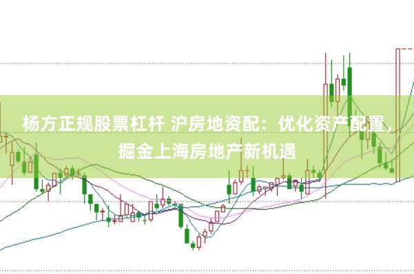 杨方正规股票杠杆 沪房地资配：优化资产配置，掘金上海房地产新机遇