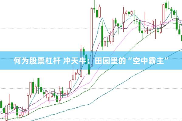 何为股票杠杆 冲天牛：田园里的“空中霸主”