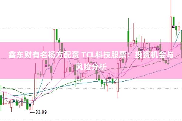 鑫东财有名杨方配资 TCL科技股票：投资机会与风险分析