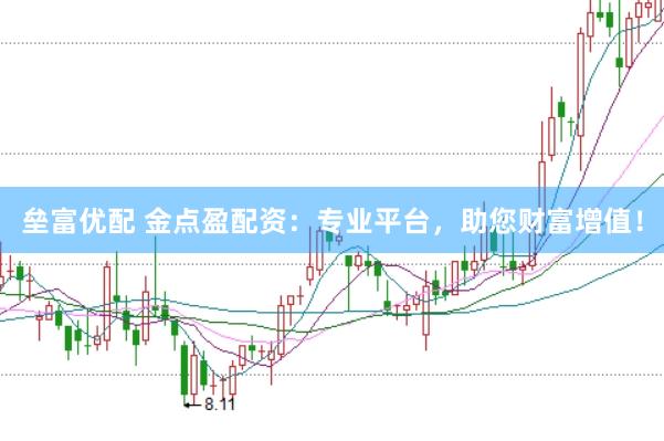 垒富优配 金点盈配资：专业平台，助您财富增值！