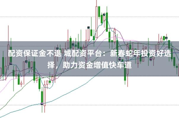 配资保证金不退 城配资平台：新春蛇年投资好选择，助力资金增值快车道