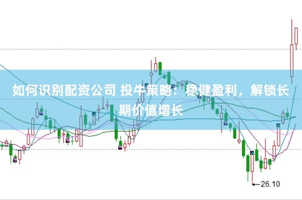 如何识别配资公司 投牛策略：稳健盈利，解锁长期价值增长
