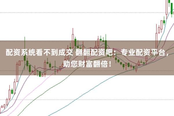 配资系统看不到成交 翻翻配资吧：专业配资平台，助您财富翻倍！