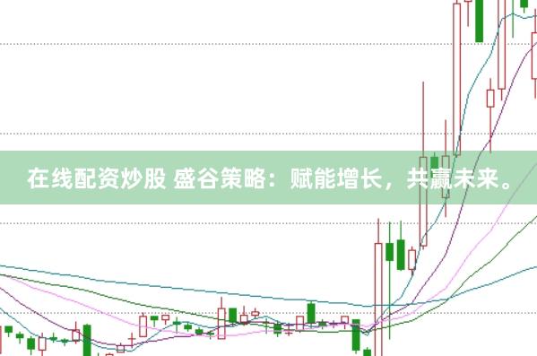在线配资炒股 盛谷策略：赋能增长，共赢未来。