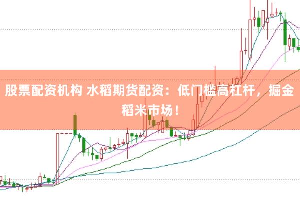 股票配资机构 水稻期货配资：低门槛高杠杆，掘金稻米市场！