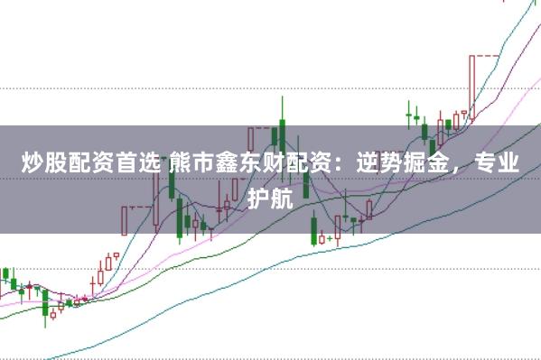 炒股配资首选 熊市鑫东财配资：逆势掘金，专业护航