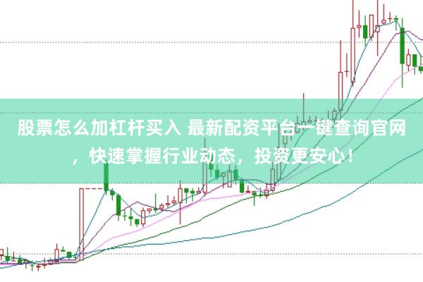 股票怎么加杠杆买入 最新配资平台一键查询官网，快速掌握行业动态，投资更安心！