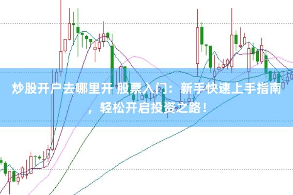 炒股开户去哪里开 股票入门：新手快速上手指南，轻松开启投资之路！