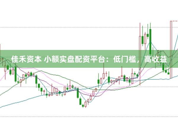 佳禾资本 小额实盘配资平台:低门槛,高收益